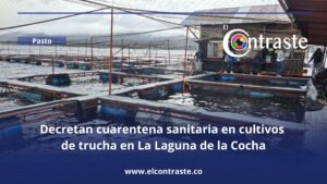Decretan cuarentena sanitaria en cultivos de trucha en La Laguna de la Cocha