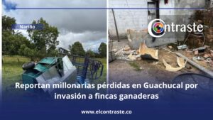 Reportan millonarias pérdidas en Guachucal por invasión a fincas ganaderas