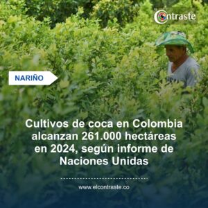 Cultivos de coca en Colombia alcanzan 261.000 hectáreas en 2024, según informe de Naciones Unidas