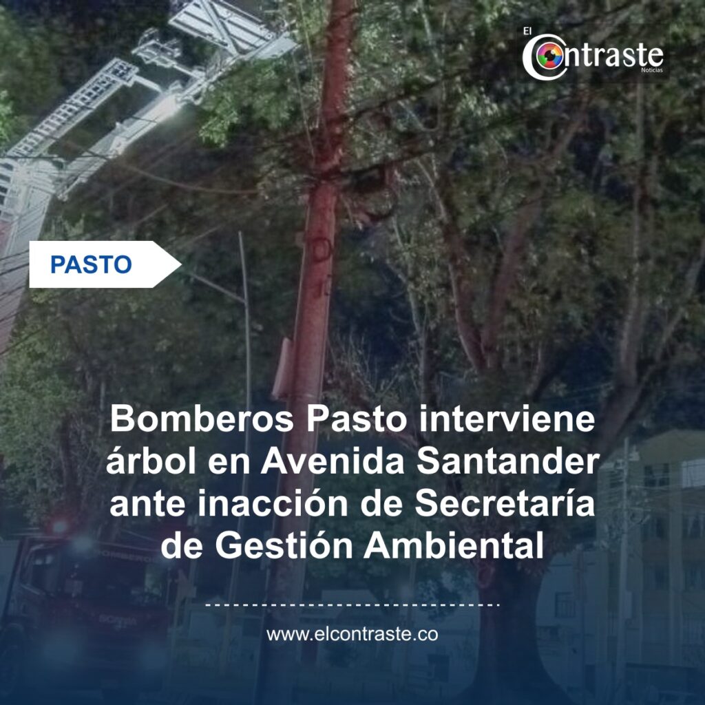 Bomberos Pasto interviene árbol en Avenida Santander ante inacción de Secretaría de Gestión Ambiental
