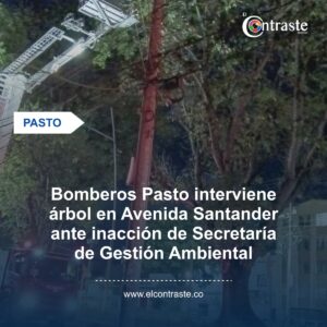 Bomberos Pasto interviene árbol en Avenida Santander ante inacción de Secretaría de Gestión Ambiental