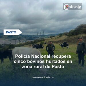 Policía Nacional recupera cinco bovinos hurtados en zona rural de Pasto
