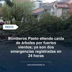 Bomberos Pasto atiende caída de árboles por fuertes vientos; ya son dos emergencias registradas en 24 horas
