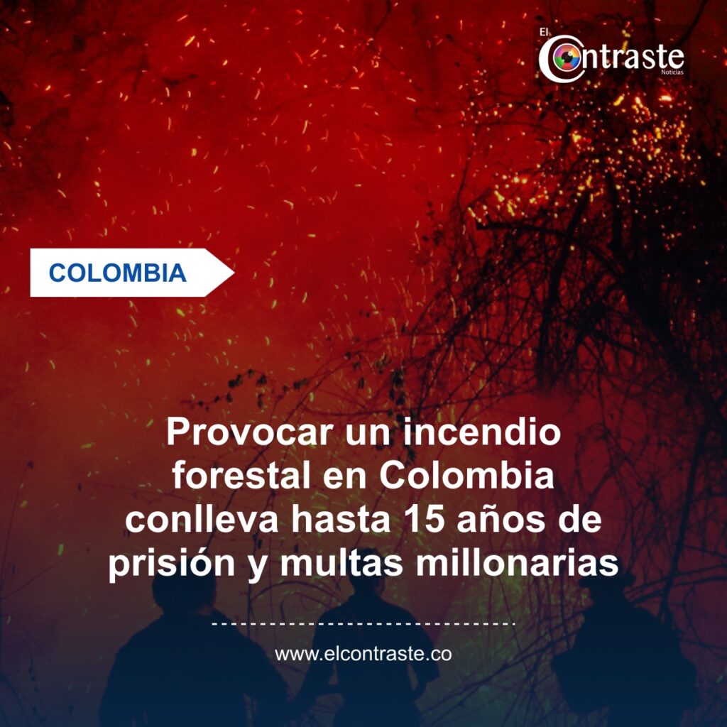 Provocar un incendio forestal en Colombia conlleva hasta 15 años de prisión y multas millonarias