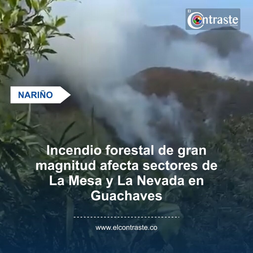 Incendio forestal de gran magnitud afecta sectores de La Mesa y La Nevada en Guachaves