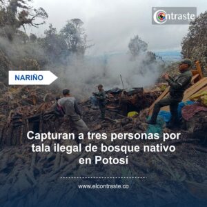 Capturan a tres personas por tala ilegal de bosque nativo en Potosí