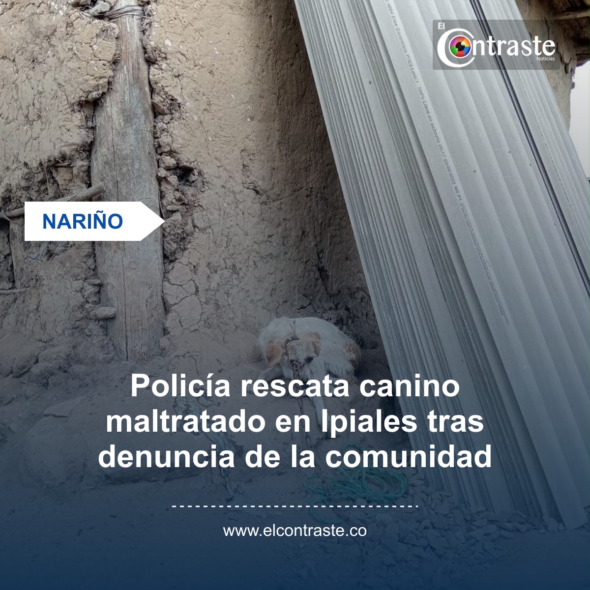 Policía rescata canino maltratado en Ipiales tras denuncia de la comunidad